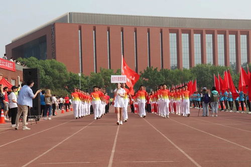 最燃開幕式 獻(xiàn)禮建黨100年！——天津科技大學(xué)信息系統(tǒng)集成服務(wù)彰顯紅色擔(dān)當(dāng)